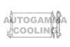 AUTOGAMMA 103237 Radiator, engine cooling